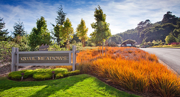 Quail Meadows Entrance