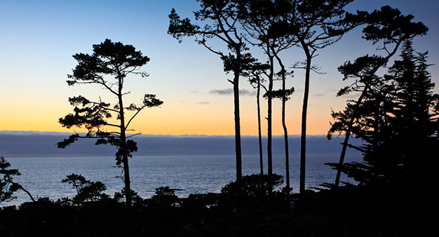 Pebble Beach View